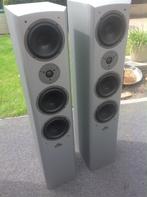 Magnat Vector 77 Loudspeakers (180 t/m 300 watt), Gebruikt, 120 watt of meer, Front, Rear of Stereo speakers, Ophalen