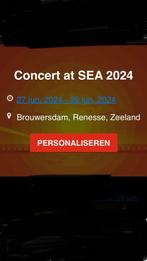 4 Concert kaarten voor at sea 2024, Tickets en Kaartjes