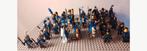 Castle - losse black falcon ridders en onderdelen, Ophalen of Verzenden, Nieuw, Losse stenen, Lego