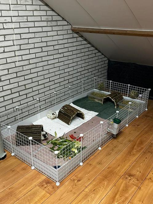 Grote draadkubus kooi, Dieren en Toebehoren, Knaagdieren en Konijnen | Hokken en Kooien, Zo goed als nieuw, Kooi, Minder dan 60 cm
