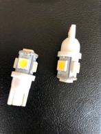 LedT10 lampjes 12 volt 50 stuks, Ophalen of Verzenden, Nieuw