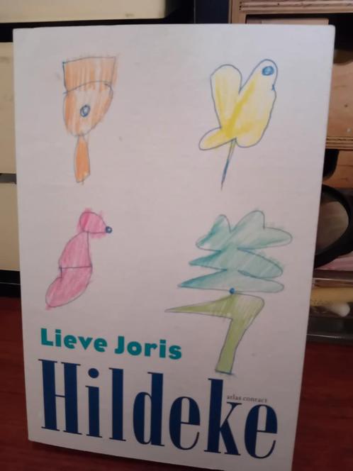 Lieve Joris - Hildeke, Boeken, Overige Boeken, Zo goed als nieuw, Verzenden