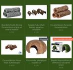 Vele soorten legholen en schuil decoratie voor vissen, Dieren en Toebehoren, ., Plant(en), Steen of Hout, Nieuw, Ophalen of Verzenden