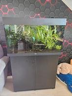 Juwel aquarium Rio 125 LED met filter zwart, Dieren en Toebehoren, Vissen | Aquaria en Toebehoren, Ophalen, Zo goed als nieuw