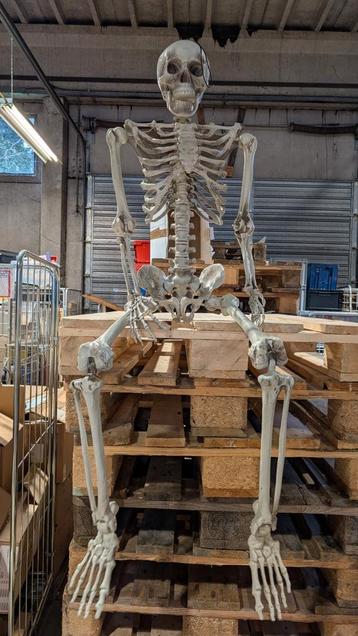 Levensgroot skelet (Halloween) beschikbaar voor biedingen