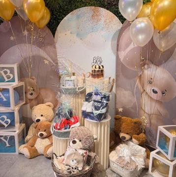 Babyshower &babyfeestje beschikbaar voor biedingen