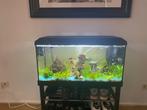 Aquarium met toebehoren, Dieren en Toebehoren, Vissen | Aquaria en Toebehoren, Ophalen of Verzenden, Nieuw, Gevuld zoetwateraquarium