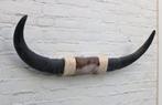 Texas style BULLBAR- 82 cm - waterbuffel hoorns, Ophalen of Verzenden, Nieuw, Boerderijdier, Overige typen