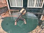 Bbq rooster voor open vuur outdoor, Tuin en Terras, Ophalen, Gebruikt