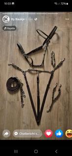 Hoofdstel en martengaal, biothane. FULL, Dieren en Toebehoren, Ophalen, Zo goed als nieuw, Recreatie