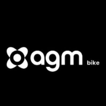 Strakke Fatbike AGM 250GT met 1532 km bj 2023  beschikbaar voor biedingen