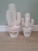 Witte cactussen. Riviera maison, Huis en Inrichting, Woonaccessoires | Overige, Ophalen, Zo goed als nieuw