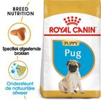 Royal canin pug puppy 3kg, Dieren en Toebehoren, Dierenvoeding, Hond, Ophalen of Verzenden