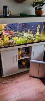 Mooie bak met vissen te koop 2 stuks  .0640041383, Dieren en Toebehoren, Ophalen, Leeg aquarium