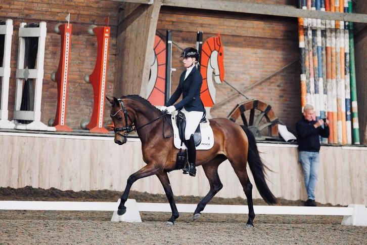 Sympathieke 5 jarige dressuurmerrie, Dieren en Toebehoren, Paarden, Merrie, L, 165 tot 170 cm, 3 tot 6 jaar, Dressuurpaard, Met stamboom