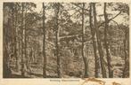 701142029 Steenwijkerwold Woldberg, Verzamelen, Ansichtkaarten | Nederland, Verzenden, Voor 1920, Overijssel