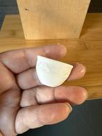 Planten pot voor aan muur - hxbxd 2.4x3.4x1.8cm - gips, Ophalen of Verzenden, Zo goed als nieuw, Poppenhuis