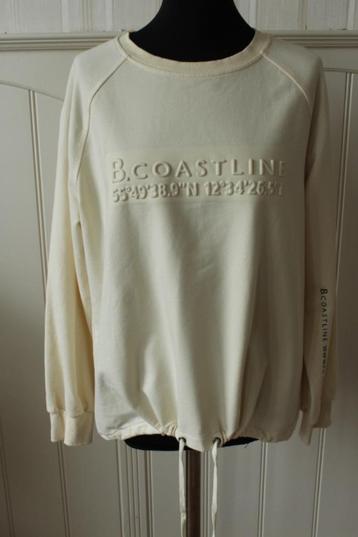 shirt van B COASTLINE maat 40 beschikbaar voor biedingen