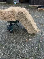 Te koop kleine pakjes hooi, Ophalen of Verzenden, Vee