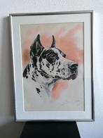 Deense Dog Honden Origineel Litho Diana Thorne Lijst 1944, Antiek en Kunst, Kunst | Litho's en Zeefdrukken, Ophalen of Verzenden