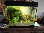 Juwel Lido 120l eheim filter, Ophalen, Zo goed als nieuw, Gevuld zoetwateraquarium