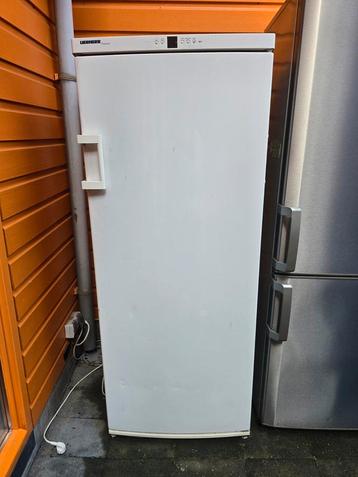 Vriezer Liebherr DEFECT (gratis af te halen) beschikbaar voor biedingen