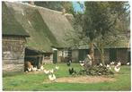 963889 Drenthe Boerderij Mooie Oude kaart onbeschreven