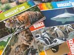 Burgers' Zoo Bordspel, Tickets en Kaartjes, Eén persoon, Ticket of Toegangskaart