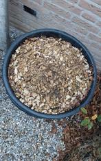 Gratis ophalen geel splitgrind, Tuin en Terras, Grind, Keien en Split, Ophalen, Gebruikt, Geel, Split