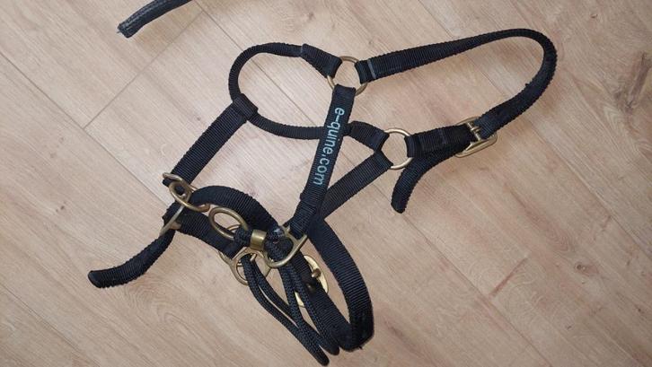 Trainingshalster equine, Dieren en Toebehoren, Paarden en Pony's | Hoofdstellen en Tuigage, Gebruikt, Overige soorten, Ophalen of Verzenden
