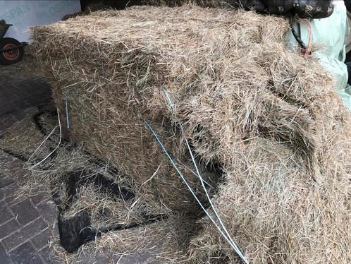 Grote balen fijn hooi, Dieren en Toebehoren, Dierenvoeding, Vee, Ophalen
