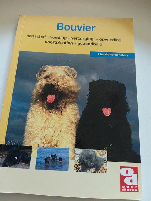 Bouvier, Boeken, Dieren en Huisdieren, Zo goed als nieuw, Honden, Ophalen of Verzenden