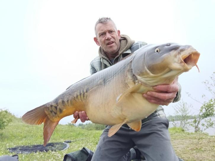 karper vissen op de maas, Watersport en Boten, Hengelsport | Karpervissen, Nieuw, Overige typen, Ophalen