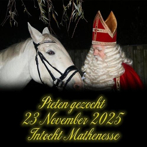 Gezocht Pieten voor Intocht Mathenesse Rotterdam, Diversen, Sinterklaas, Zo goed als nieuw, Ophalen