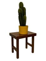 Vintage Plantentafeltje Bijzettafel Uniek Jaren 60 Design, Ophalen, Minder dan 55 cm, Gebruikt, Rechthoekig
