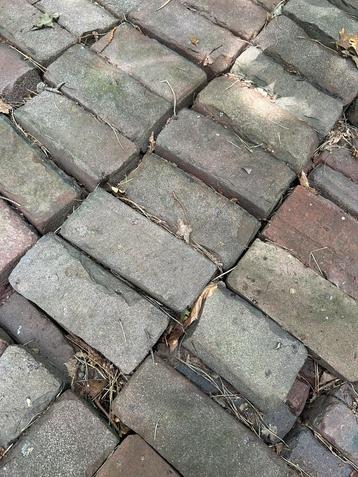 Oud gebakken waaltjes beschikbaar voor biedingen