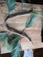 Touw met bladeren - Jungle kinderkamer decoratie, Ophalen of Verzenden, Gebruikt, Binnen