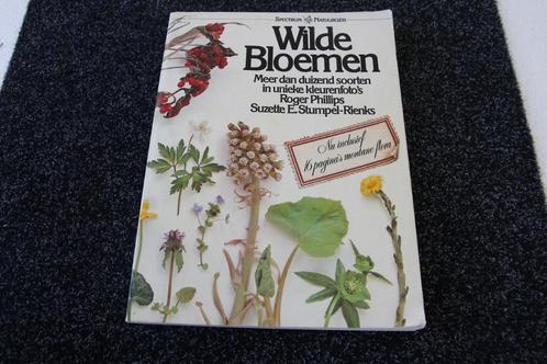 wilde bloemen. Meer dan duizend soorten, Boeken, Natuur, Gelezen, Bloemen, Planten en Bomen, Ophalen of Verzenden