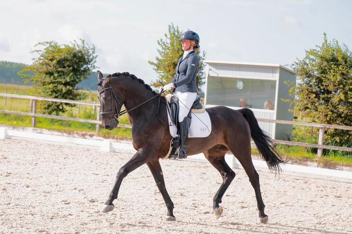 Instructie/(training)ruiter aangeboden bollenstreek, Diensten en Vakmensen, Dieren | Paarden | Verzorging, Oppas en Les, Gedragstraining