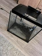 Klein aquarium, Dieren en Toebehoren, Ophalen of Verzenden, Zo goed als nieuw, Leeg aquarium