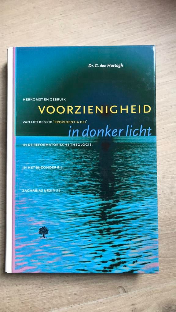 G. den Hartogh - Voorzienigheid in donker licht, Ophalen of Verzenden, Zo goed als nieuw, G. den Hartogh