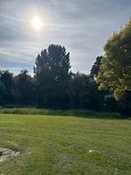 Gezocht visspulletjes liefst gratis, Ophalen of Verzenden