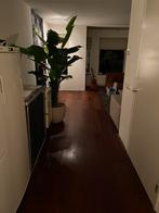 Ipe vloer ca. 30m2., Doe-het-zelf en Verbouw, Vloerdelen en Plavuizen, Ophalen, Gebruikt, 50 tot 150 cm, 10 m² of meer