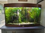 Juwel Vision 180 panorama aqaurium compleet, Dieren en Toebehoren, Vissen | Aquaria en Toebehoren, Ophalen, Gebruikt, Leeg aquarium