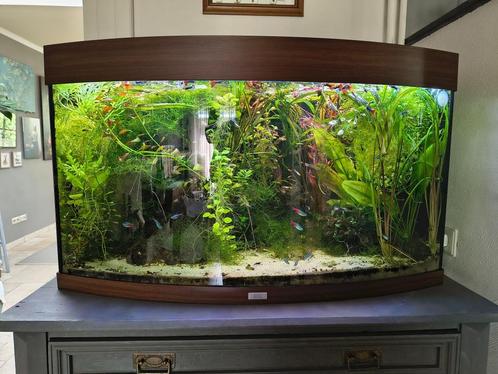 Juwel Vision 180 panorama aqaurium compleet, Dieren en Toebehoren, Vissen | Aquaria en Toebehoren, Gebruikt, Leeg aquarium, Ophalen