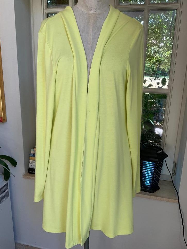 Lange vest van Caroll , maat L, Kleding | Dames, Truien en Vesten, Gedragen, Maat 42/44 (L), Geel, Ophalen of Verzenden