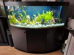Aquarium te koop, Dieren en Toebehoren, Vissen | Aquaria en Toebehoren, Ophalen, Gebruikt, Leeg aquarium