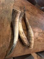 Hoorns, Ophalen, Zo goed als nieuw, Paard, Beeldje of Figuurtje