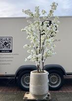 Mineral Harrith pot beige met kunstbloesemboom, Verzenden, Volle zon, Overige soorten