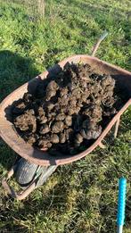 Paardenmest, Ophalen, Mest